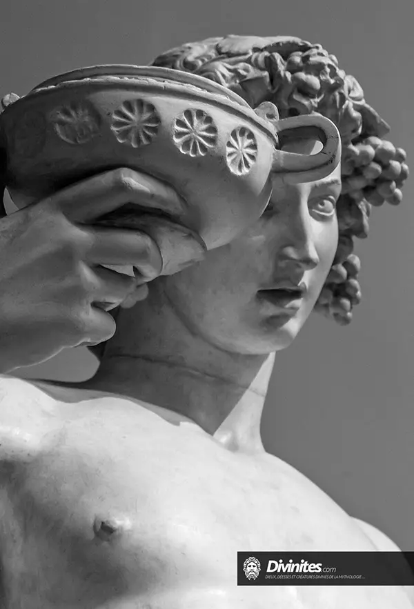 Dionysos, représentation mythologique