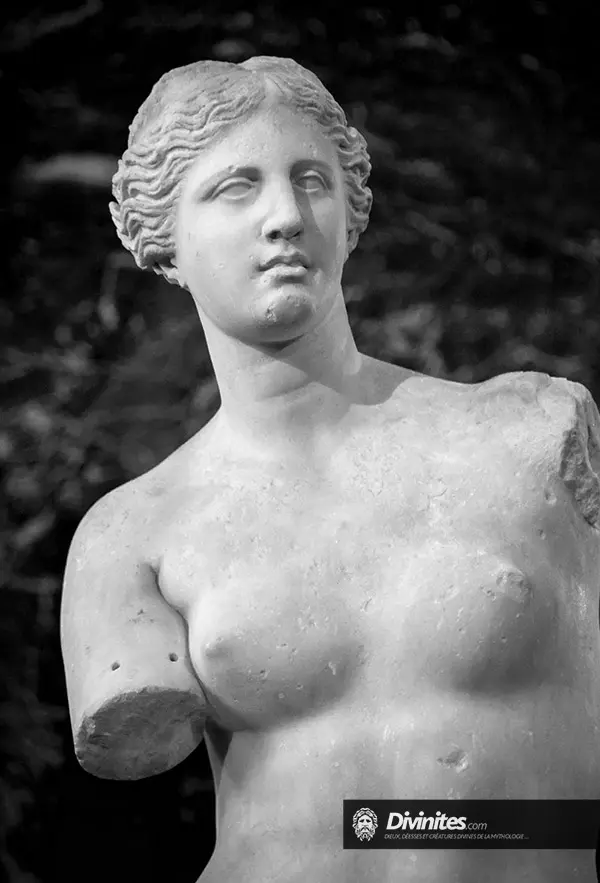 Vénus, représentation mythologique