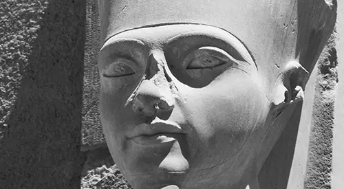 Amon