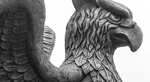 Griffon